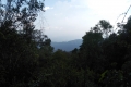 IMG-20190208-WA0006