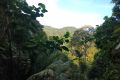 Bukit Lagong - view to the higher slopes (Dan Quinn, August 2024)