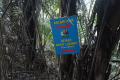 Bukit Lagong - trail junction (Dan Quinn, August 2024)