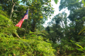 Bukit Lagong - the summit (Dan Quinn, August 2024)