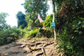 Bukit Lagong - collapsed beirut at the summit (Dan Quinn, August 2024)