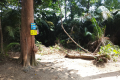 Bukit Lagong - rest spot near the viewpoint on Bukit Nolang (Dan Quinn, August 2024)