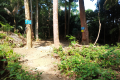 Bukit Lagong - rest spot near the viewpoint on Bukit Nolang (Dan Quinn, August 2024)