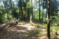 Bukit Lagong - rest spot near the viewpoint (Dan Quinn, August 2024)
