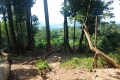 Bukit Lagong - one of a couple of popular viewpoints (Dan Quinn, August 2024)