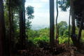Bukit Lagong - one of a couple of popular viewpoints (Dan Quinn, August 2024)