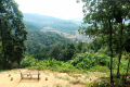 Bukit Lagong - one of a couple of popular viewpoints (Dan Quinn, August 2024)