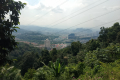 Bukit Lagong - one of a couple of popular viewpoints (Dan Quinn, August 2024)