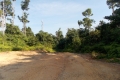DSCN1958