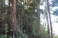 DSCN1961