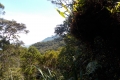 DSCN2044