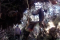 DSCN2047