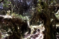 DSCN2063