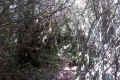 DSCN2068