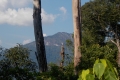 DSCN2151