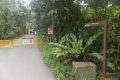 Near the starting point for Bukit Timah (Dan Quinn, March 2019)
