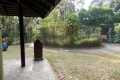 Bukit Timah summit area (Dan Quinn, March 2019)