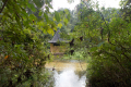 Bukit Timah extension to Upper Peirce Reservoir and MacRitchie Reservoir (Dan Quinn, March 2019)
