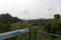 Bukit Timah extension to Upper Peirce Reservoir and MacRitchie Reservoir (Dan Quinn, March 2019)