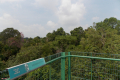 Bukit Timah extension to Upper Peirce Reservoir and MacRitchie Reservoir (Dan Quinn, March 2019)