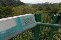 Bukit Timah extension to Upper Peirce Reservoir and MacRitchie Reservoir (Dan Quinn, March 2019)