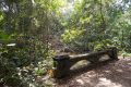 Bukit Timah extension to Upper Peirce Reservoir and MacRitchie Reservoir (Dan Quinn, March 2019)