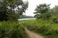 Bukit Timah extension to Upper Peirce Reservoir and MacRitchie Reservoir (Dan Quinn, March 2019)