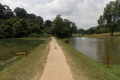 Bukit Timah extension to Upper Peirce Reservoir and MacRitchie Reservoir (Dan Quinn, March 2019)