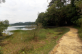 Bukit Timah extension to Upper Peirce Reservoir and MacRitchie Reservoir (Dan Quinn, March 2019)