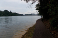Bukit Timah extension to Upper Peirce Reservoir and MacRitchie Reservoir (Dan Quinn, March 2019)