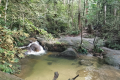 Bukit Unyang - the trail passes by a stream (Dan Quinn, August 2024)