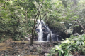 Bukit Unyang - a very pleasant waterfall enroute (Dan Quinn, August 2024)
