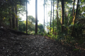 Bukit Unyang - the first of two viewpoints towards Kuala Lumpur (Dan Quinn, August 2024)