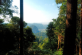 Bukit Unyang - gorgeous views towards Kuala Lumpur (Dan Quinn, August 2024)