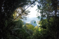 Bukit Unyang - gorgeous views towards Kuala Lumpur (Dan Quinn, August 2024)