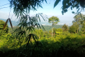 Bukit Unyang - views just before the summit (Dan Quinn, August 2024)