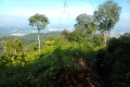 Bukit Unyang - views just before the summit (Dan Quinn, August 2024)