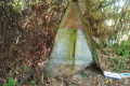 Bukit Unyang - the collapsed beirut at the summit (Dan Quinn, August 2024)