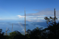 DSC05018