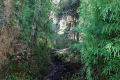 DSC05041