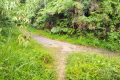 Gunung Bunga Buah -onto the old Genting road (Dan Quinn, August 2024)