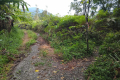 Gunung Bunga Buah - right to Gunung Rawang Matahari (Dan Quinn, August 2024)
