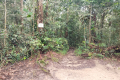 Gunung Bunga Buah - second checkpoint (Dan Quinn, August 2024)