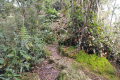 Gunung Bunga Buah - at Rock Garden (Dan Quinn, August 2024)