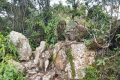 Gunung Bunga Buah - at Rock Garden (Dan Quinn, August 2024)
