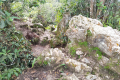 Gunung Bunga Buah - at Rock Garden (Dan Quinn, August 2024)