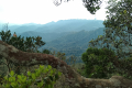 Gunung Bunga Buah - at Rock Garden (Dan Quinn, August 2024)