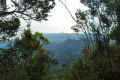 Gunung Bunga Buah - at Rock Garden (Dan Quinn, August 2024)