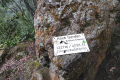Gunung Bunga Buah - at Rock Garden (Dan Quinn, August 2024)