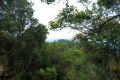 Gunung Bunga Buah - at Rock Garden (Dan Quinn, August 2024)
